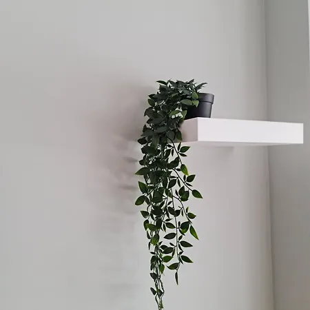 Campanha - A דירה פורטו