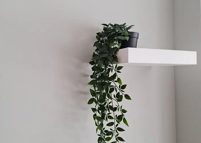 Campanha - A Apartman Porto